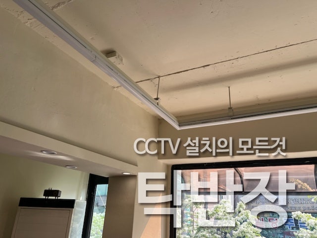 일면지연 사진 1