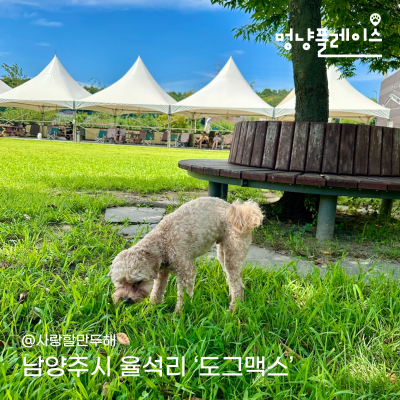 사진 4