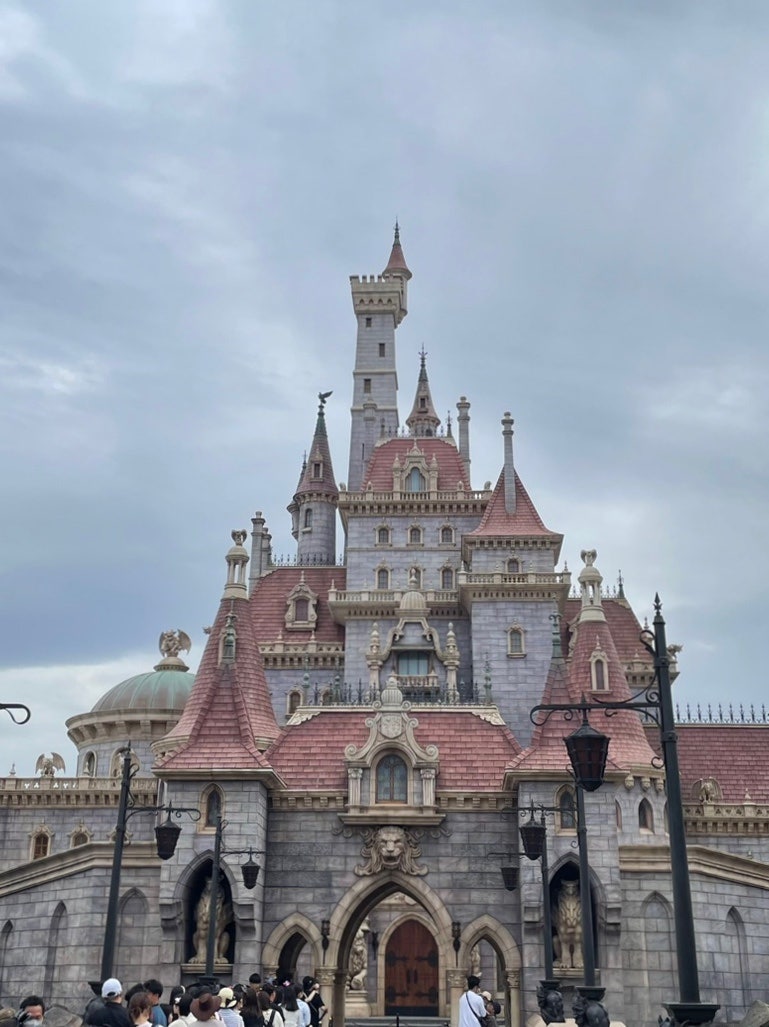 일본 도쿄 디즈니랜드 뽀개기 2탄 | 잇츠어스몰월드, 미녀와야수, 미키피자, 베이맥스 카레, 저녁 퍼레이드(영상) 명당자리까지 :  네이버 블로그, image size:769x1027