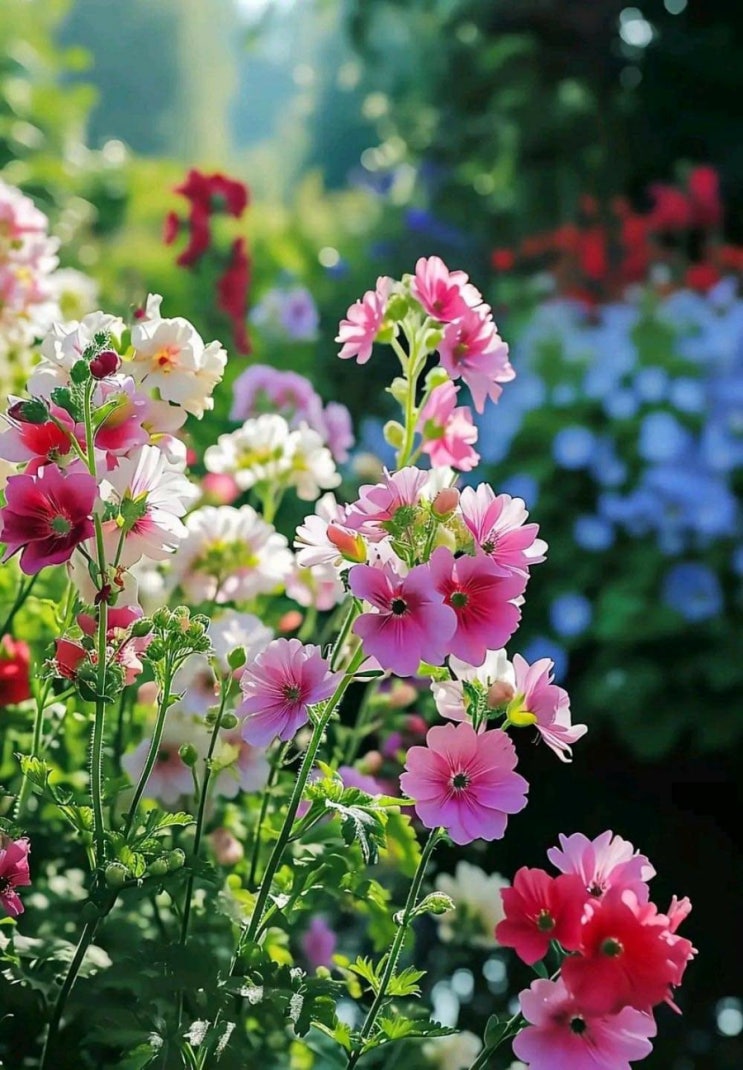   오늘의 생활정보 (2024-05-09, 목)