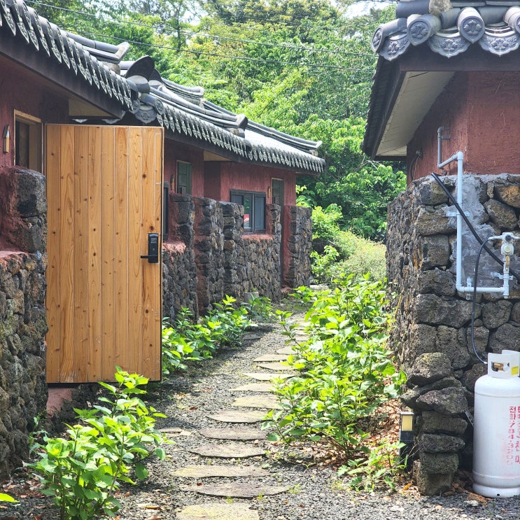 바람에 흔들리는 풍경소리, 제주밭담고기국수멸치국수, 제주밭담숲펜션