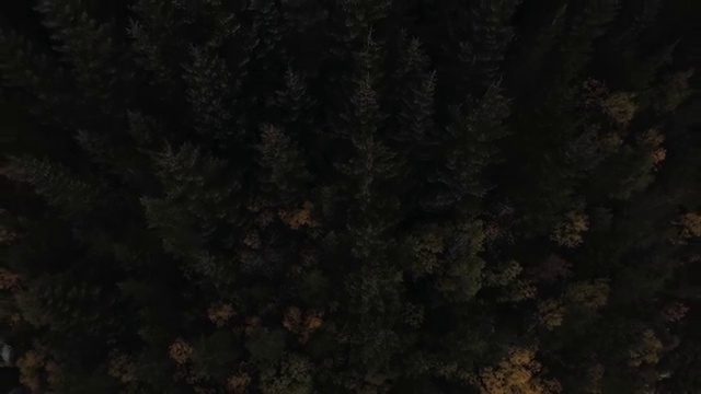  광주 사회복지공무원호봉 사회복지사2급 고졸도 독학으로 수월하게