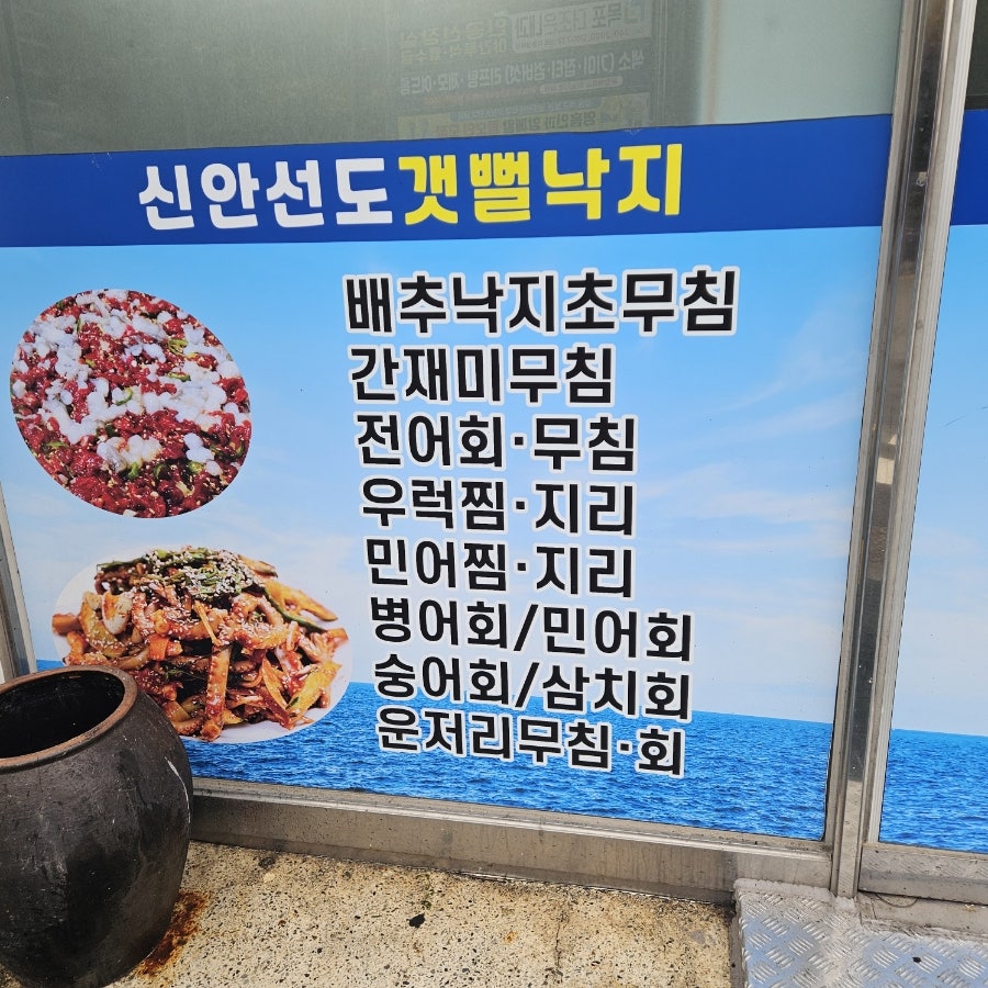 신안선도뻘낙지 사진 4