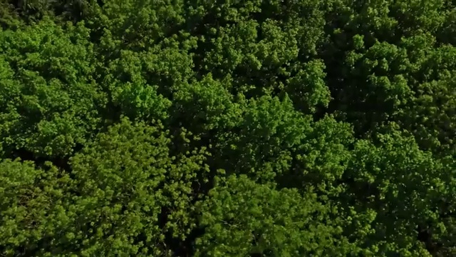  대구 경매학원 부동산권리분석사 한달 만에 합격 후기