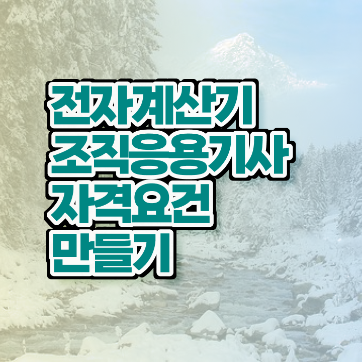  전자계산기조직응용기사 시험응시조건 인강만 듣고 4개월 만에 준비한 노하우