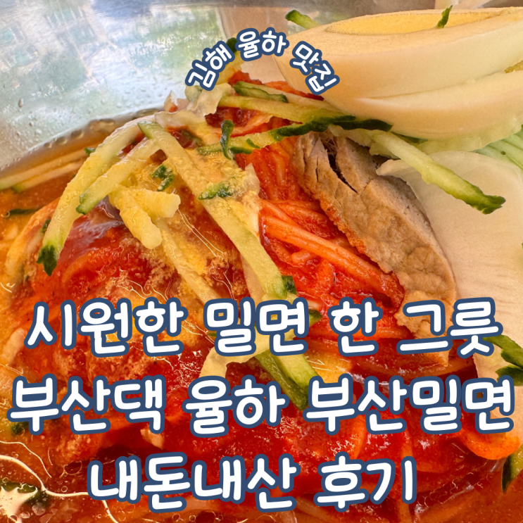  경남 김해 율하 카페거리 맛집 시원한 밀면 맛집 부산댁 율하 부산밀면 내돈내산 솔직 후기
