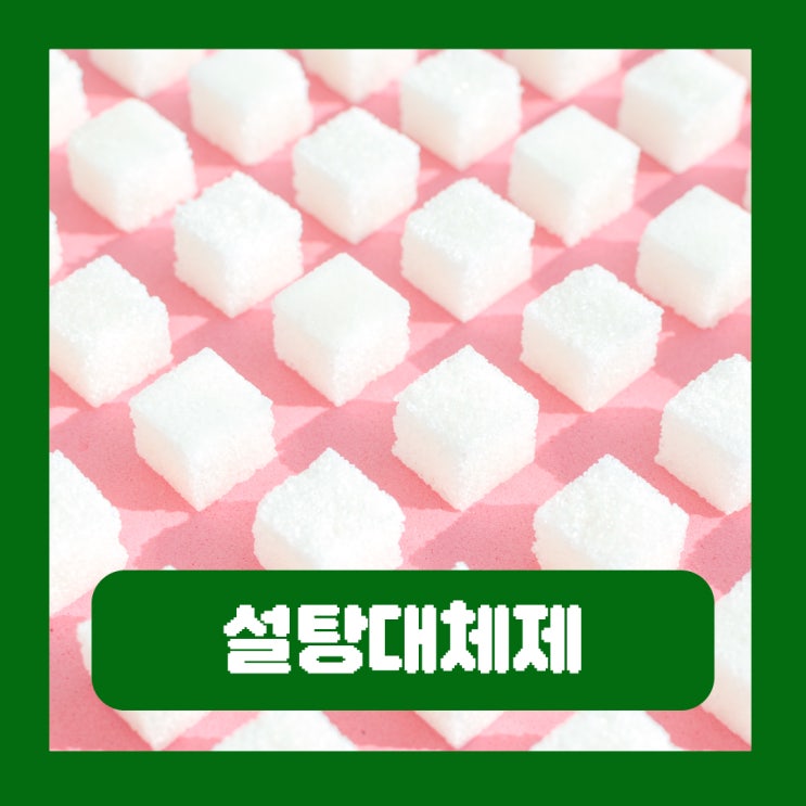  설탕대체제 알룰로스 스테비아 대체당 종류
