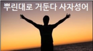  뿌린대로 거둔다 사자성어