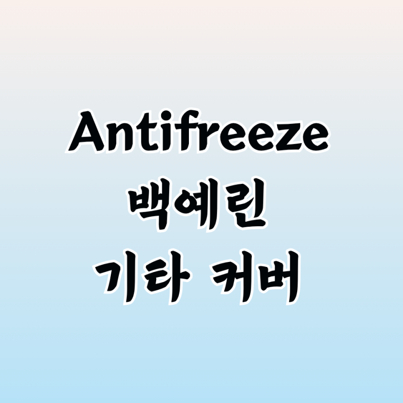 Antifreeze 백예린 기타 커버 곡 정보 검정치마