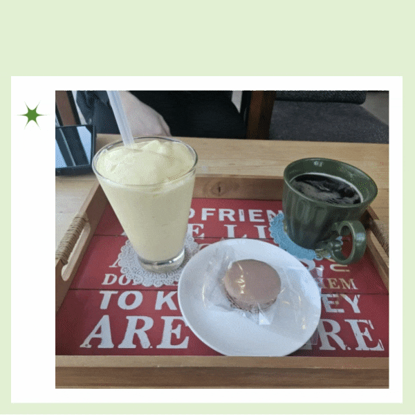  횡성여행 웰리힐리파크 맛집 카페350 망고스무디 아메리카노 마카롱 내돈내산 방문기