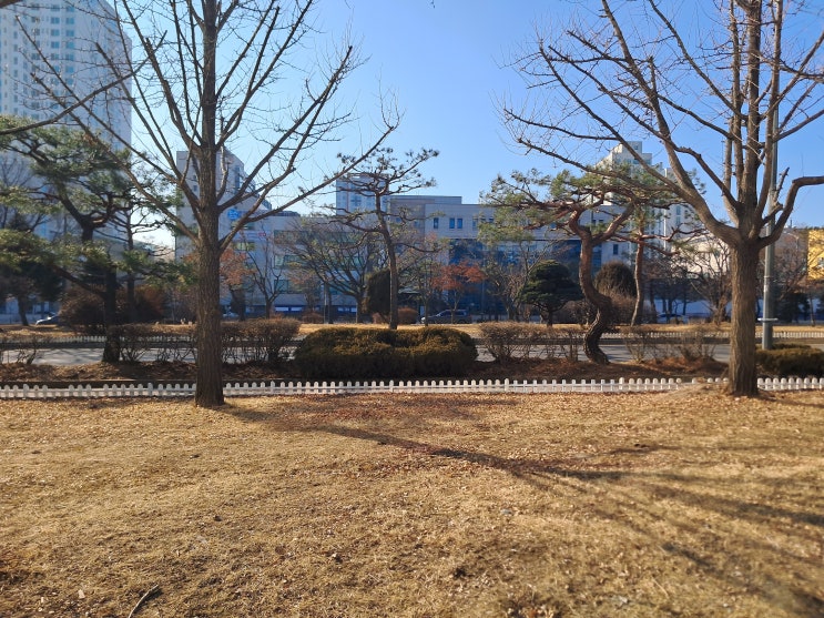 면밀한 상담의 구리 손해사정사