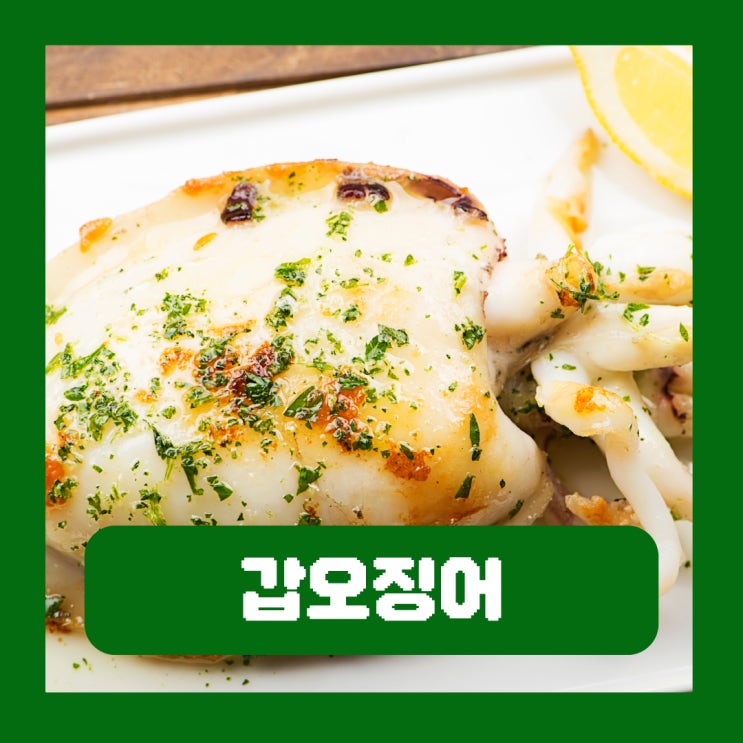  갑오징어 제철 먹물 뼈 분말 해표초 효능