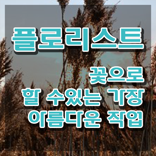  플로리스트 취업 , 플로리스트 자격증 온라인으로 간단히 준비한 과정 및 무료수강 혜택