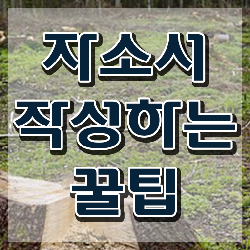  자기소개서 작성 방법 , 자기소개서지도사 자격증 취득 정보 정보 가득