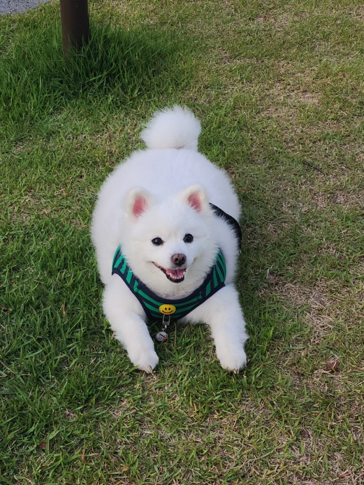  부천중앙공원 사진기록 2024.05.10