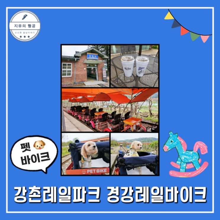  애견동반 레일바이크 | 펫바이크 당일치기 이색체험 내돈내산