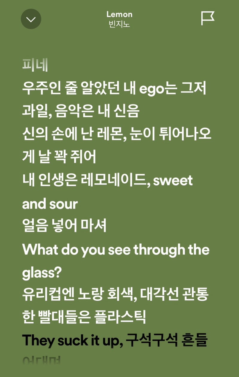 빈지노 노비츠키 좋네...
