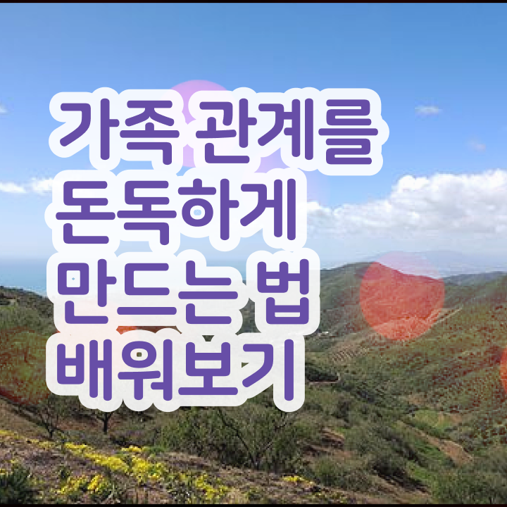  가족심리상담사1급교육지원센터 , 가족심리상담사 자격증 취득한 노하우 핵심 정보 정리