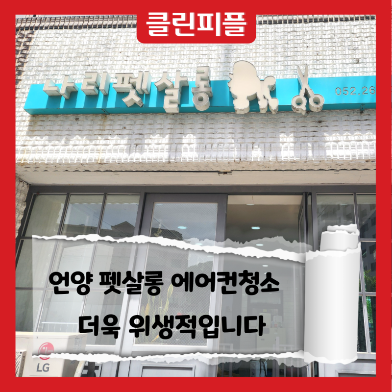 사진 7