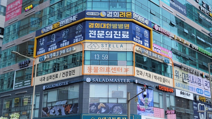  [동물병원간판]스텔라동물의료센터