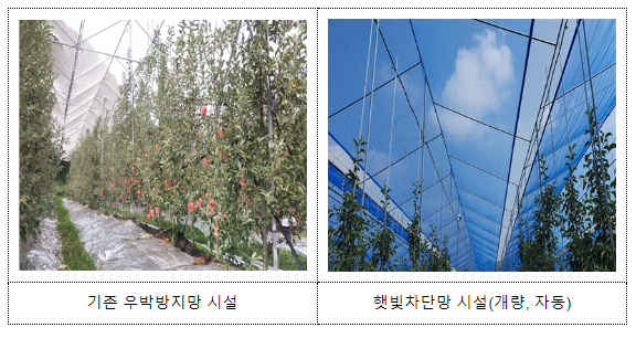 고온기 대응, 원예특작 신기술 보급 속도 낸다 고온기 대응, 원예특작 신기술 보급 속도 낸다