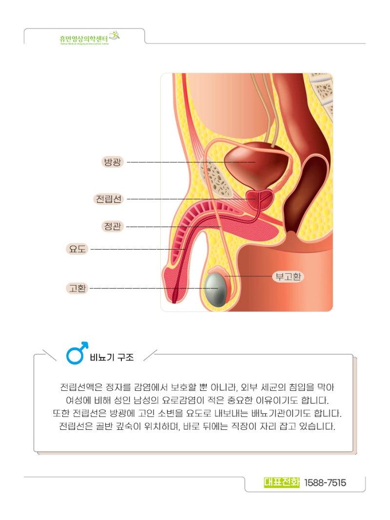 자궁선근증하이푸시술 맞춤형 치료가 중요해 안녕하세요, 인천 유일 보건복지부 지정 산부인과 전문병원, 아인병원입니다. 자궁은 섬유근층으로  구성된 기관으로 임신과 출산을 위한 여성의 생식기관 입니다. 나이가 들어감에 따라 이 기관에 문제가 생길 가능성도 함께 ..., image size:800x1067