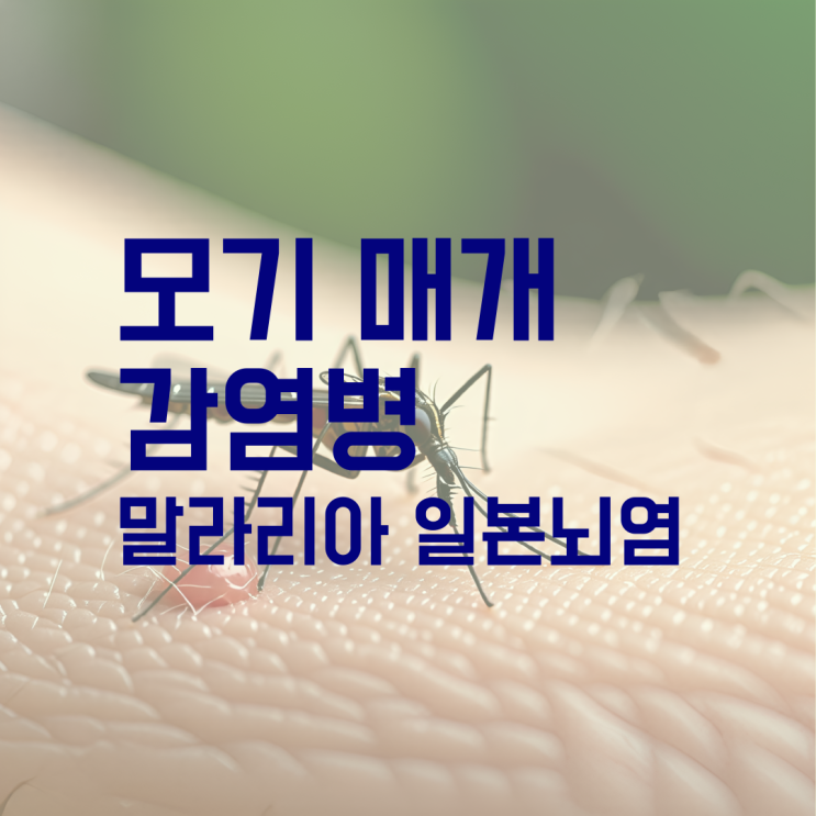  여름철 모기 매개 감염병 말라리아 일본뇌염 예방법 일본뇌염 예방접종시기