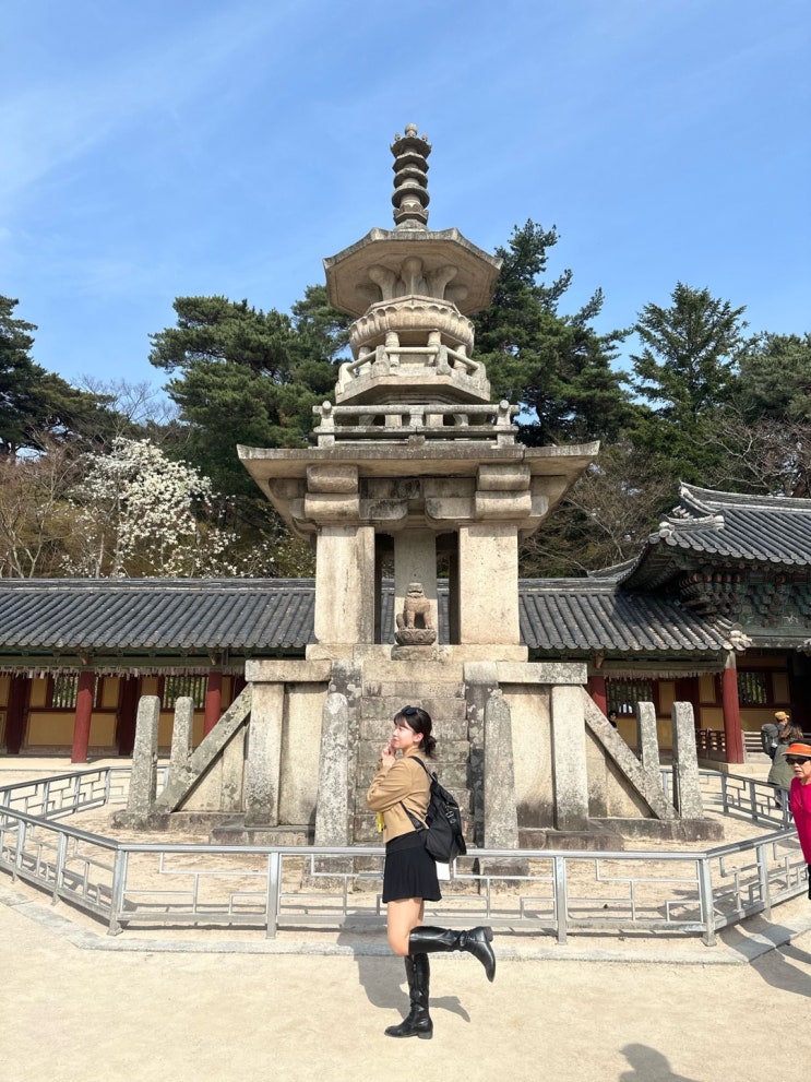  [경주 여행] 경주여행 코스 : 경주 불국사 다보탑, 경주 황룡사, 석굴암