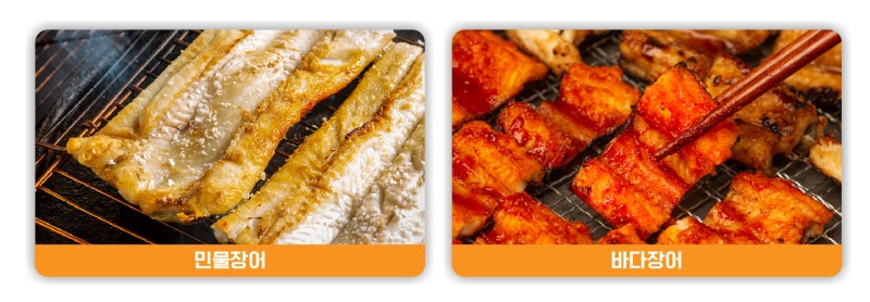 바다장어 민물장어 차이, 바다장어 종류, 제철, 맛있게 먹는법 : 네이버 블로그