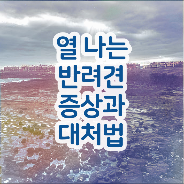  반려동물 종류 , 반려동물관리사 자격증 간단하게 합격 후기 살펴보기