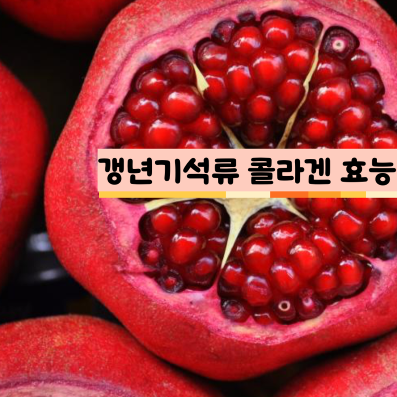 갱년기석류 석류콜라겐 효능 석류콜라겐젤리 섭취