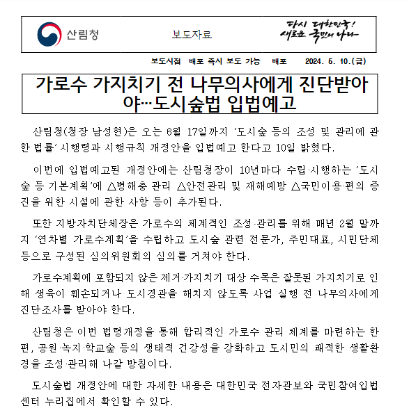 가로수 가지치기 전 나무의사에게 진단받아야…도시숲법 입법예고 가로수 가지치기 전 나무의사에게 진단받아야…도시숲법 입법예고