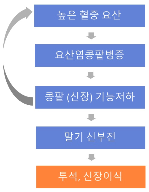  신장이 나빠지기 전에 통풍을 관리하세요–2