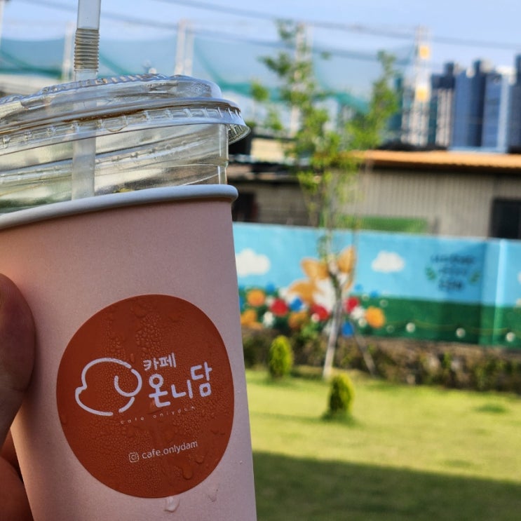  대구 화원 애견 카페 온니담 꼬미랑 재방문 후기