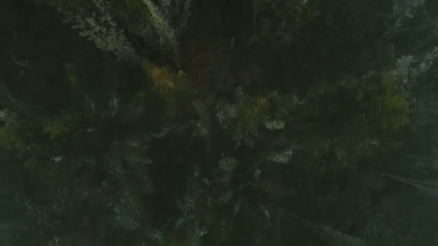  도화살 사주 , 심리상담사 자격증 단기간에 취득했던 후기 여기서 확인하세요