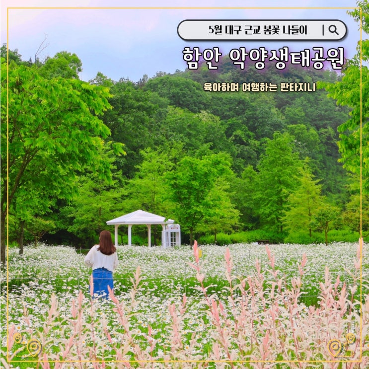  경남 함안 악양생태공원 데이지명소 - 5월 가볼만한 곳으로 추천(개화상황)