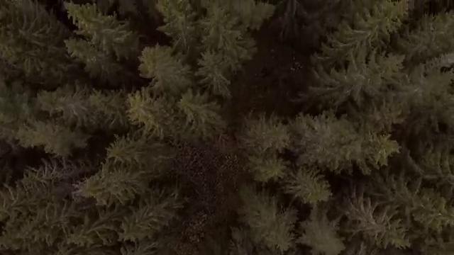  스포츠심리 스포츠심리상담사 자격증 학습 알아볼까요