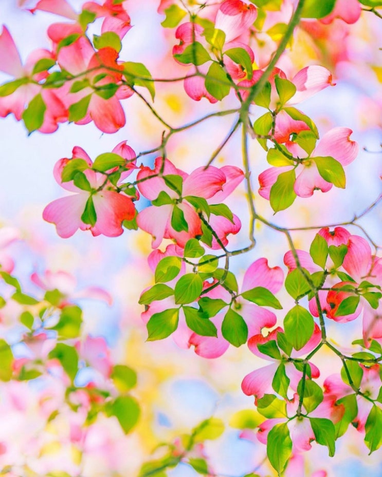   오늘의 생활정보 (2024-05-10, 금)