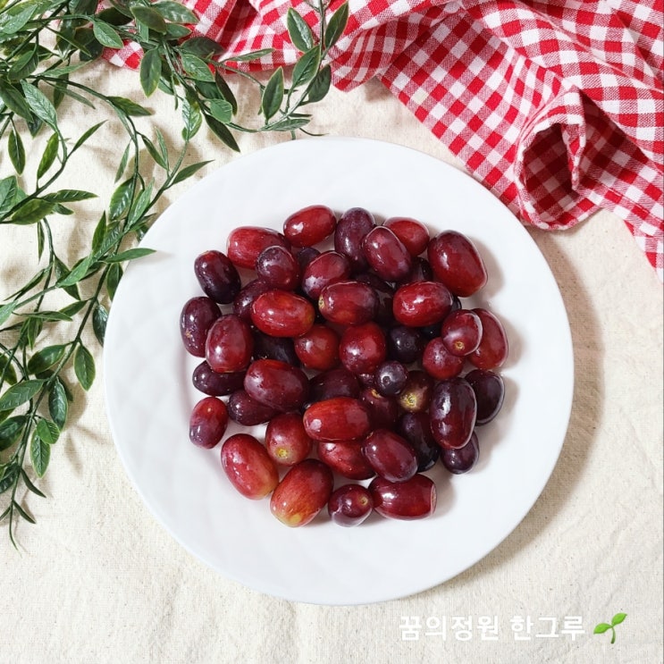 포도 씻는법 적포도 세척 보관법 씨없는 수입 크림슨포도 칼로리
