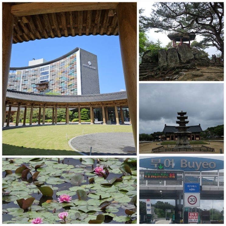  [부여 여행] 부여 1박2일 여행 코스(1일차), 부여궁남지/정림사지/부소산성, 낙화암/부여 롯데리조트, 시골통닭