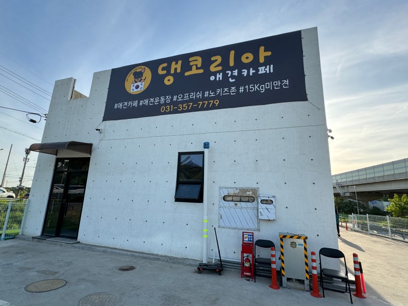 사진 2