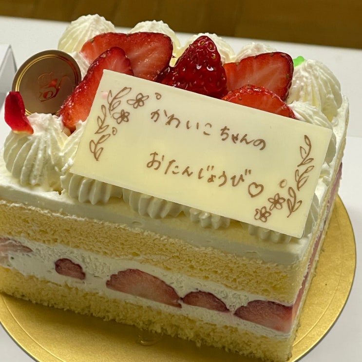  【224, 주간기록 18주차】 골든위크 겸 생일주간 | 바베큐, 외부수업
