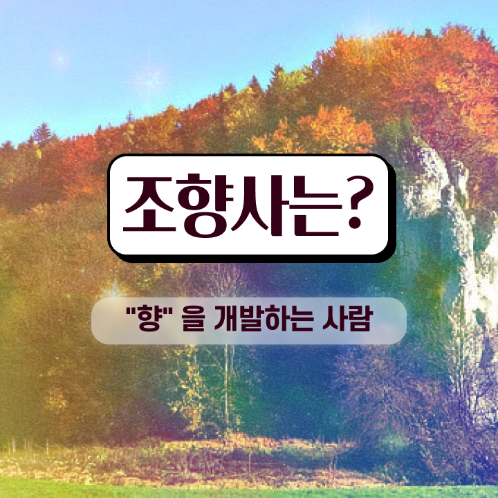 조향사1급 , 온라인으로 조향사 취득했던 후기
