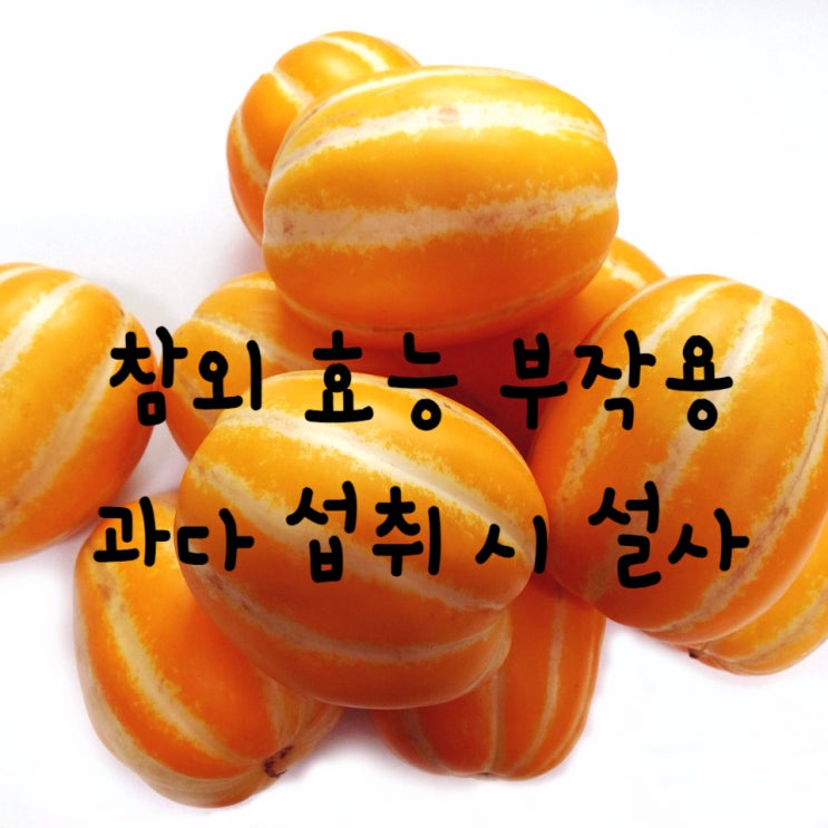  참외를 많이 먹으면 설사하는 이유,  참외 효능  섭취 시 주의점