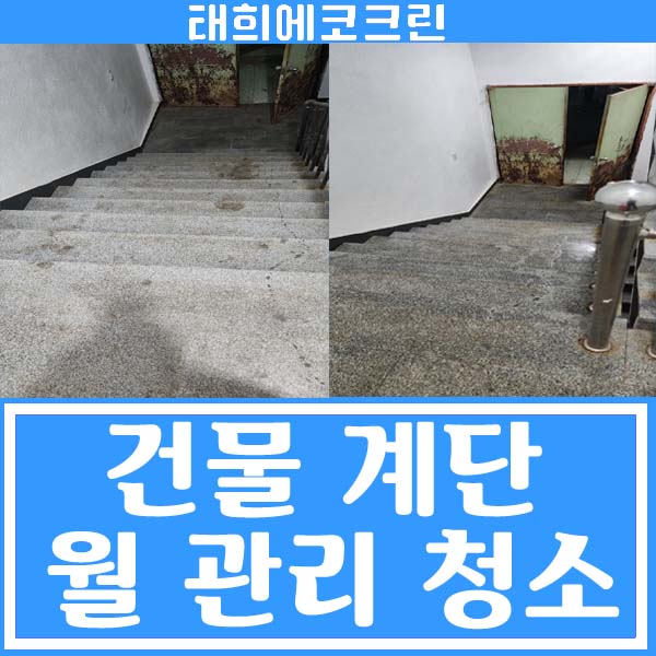  전주청소업체-건물 계단 월 관리 청소(정기청소)