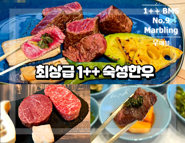  분당 맛집 한우 호사누린 정자역 회식 장소 우마블 후기