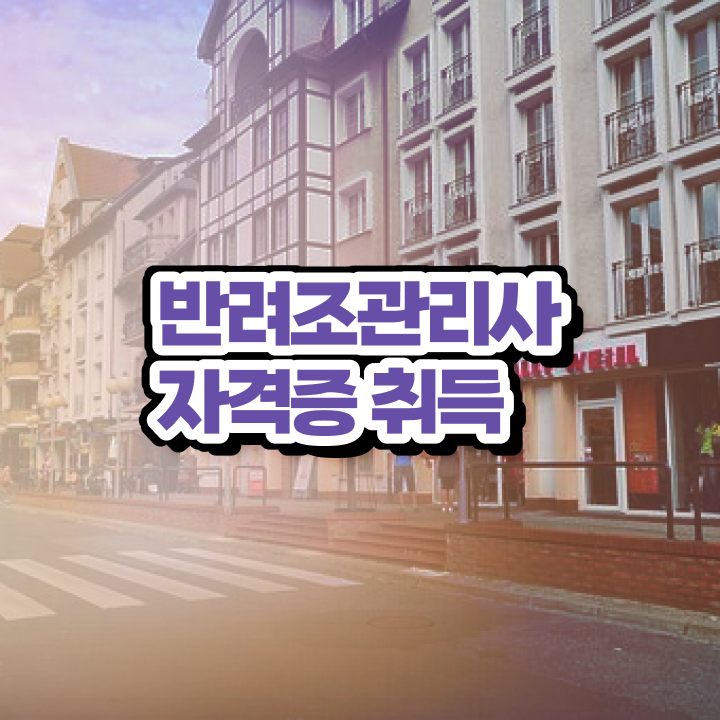  사랑앵무 키우기 , 반려조관리사 자격증 응시자격 없이 취득한 노하우 , 향후 전망