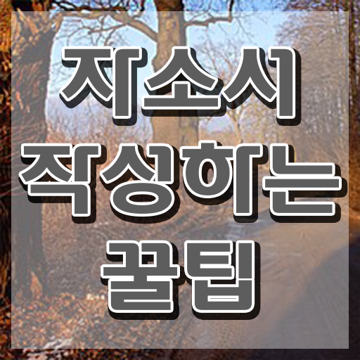  자기소개서예시 , 자기소개서지도사 자격증 응시자격 없이 취득한 과정 콕콕 짚어드립니다
