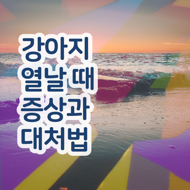  반려동물관리사 취업 , 반려동물관리사 자격증 쉽고 간편하게 합격한 비법 , 채용 정보