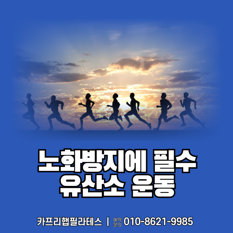 【약수역필라테스】 노화방지에 유산소운동이 중요한 이유